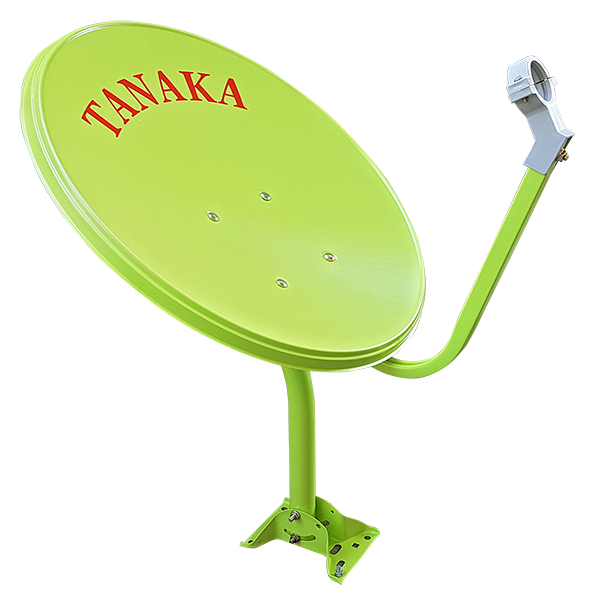 SOLID T-45 TANAKA GREEN